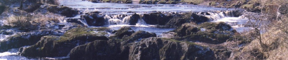 The Arthur's Linn