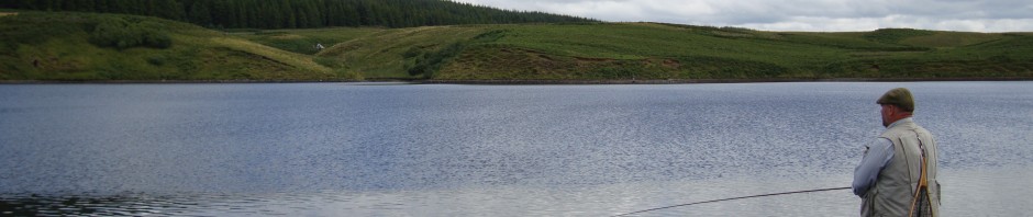 Angler Fishing in the Ripple at Glengavel