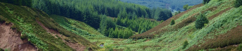 Glengavel Burn by James Muldoon