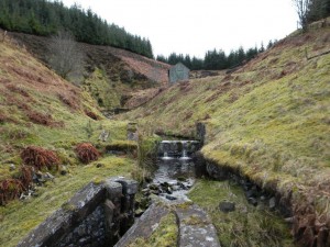 Looking Up The Spoutloch Burn Glen by Stan Broom