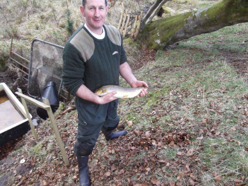 Wullie Weir our Chairman with one of the better Trout ready to be stocked into the Avon
