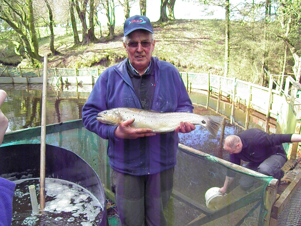 Jim proudly showing off a fine Brownie from the UAAA's rearing ponds ready for stocking.