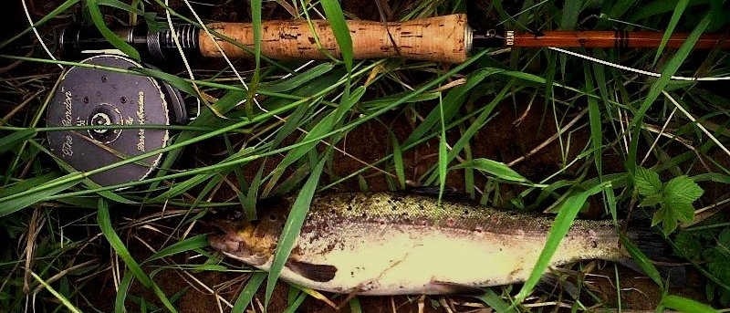 Jonathan's First Cane Caught Trout