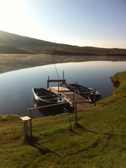 Glengavel Boats in the morning.