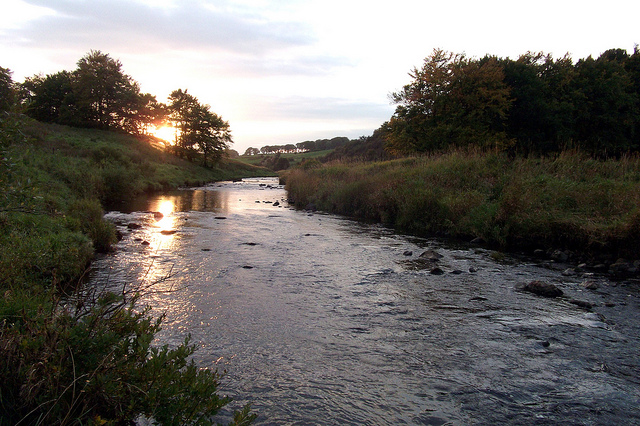 Evening on the Upper Avon by Davy Learmonth